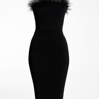 Rochie corset cu pene negre de lungime medie
