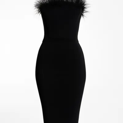 Rochie corset cu pene negre de lungime medie